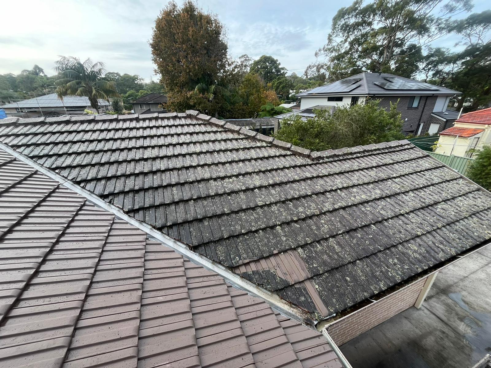 roof pressure cleaning sydney